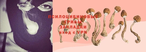 герыч Алексин