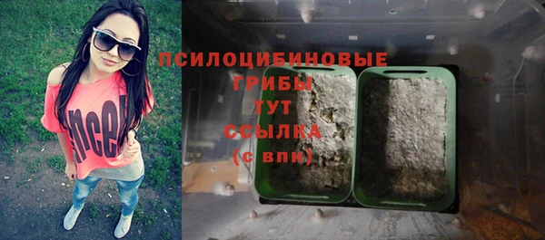 герыч Алексин