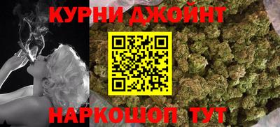 индика Партизанск