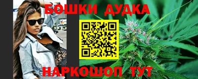 индика Партизанск