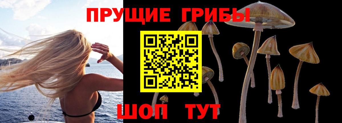 Нурлат  Галлюциногенные грибы мицелий  Вход с VPN 